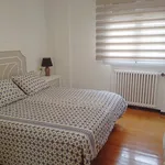 Rent 2 bedroom apartment in Vitoria-Gasteiz