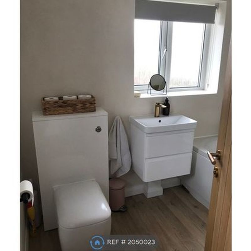 Room to rent in Littlefield Road, Colchester CO2