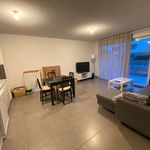 Rent 3 bedroom apartment of 65 m² in Vendargues