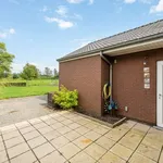 Huur 3 slaapkamer huis van 730 m² in Putte