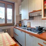 Rent 1 bedroom apartment in Milan