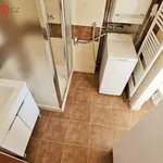 Rent 4 bedroom apartment in Kuřim