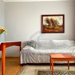 Rent 4 bedroom apartment of 66 m² in Poznan