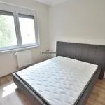 Rent 3 bedroom apartment of 77 m² in Debrecen