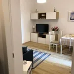 Appartamento arredato con terrazzo Centro