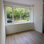 Rent 3 bedroom house of 130 m² in Hilversum