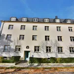 Rent 2 bedroom apartment of 56 m² in Chemnitz