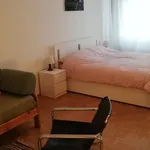 Miete 2 Schlafzimmer wohnung von 1023 m² in vienna