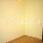 Rent 3 bedroom apartment of 75 m² in San Prospero