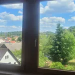 Rent 2 bedroom apartment of 49 m² in Wilkau-Haßlau