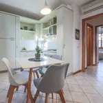 Rent 1 bedroom apartment of 49 m² in Florence