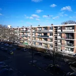 Rent 2 bedroom apartment of 74 m² in Rotterdam