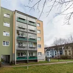 Rent 2 bedroom apartment of 53 m² in Chemnitz