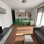 2-room flat via Bruxelles, Centro, San Donato Milanese