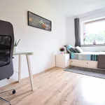 Rent 3 bedroom apartment of 12 m² in Hürth