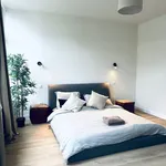 Rent 4 bedroom house in Antwerpen