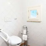 Rent 1 bedroom apartment of 45 m² in rome