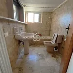 Rent 4 bedroom apartment of 150 m² in Athens