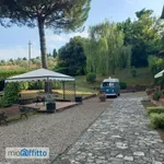 Rent 2 bedroom house of 82 m² in Siena