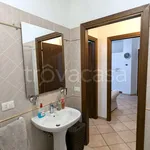 Rent 2 bedroom apartment of 40 m² in Roma