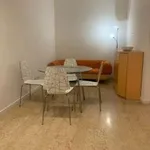 Rent 4 bedroom apartment of 80 m² in Bologna