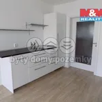 Rent 2 bedroom apartment of 50 m² in Beroun