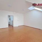 Rent 2 bedroom apartment in Opava