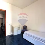 Rent 4 bedroom apartment of 127 m² in Bari