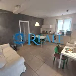 Rent 1 bedroom apartment of 50 m² in Magenta