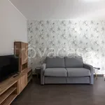 Rent 1 bedroom apartment of 35 m² in Sesto San Giovanni