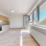 Pronajměte si 1 ložnic/e byt o rozloze 44 m² v Pilsen