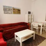 Rent 1 bedroom apartment in Florence