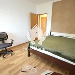 Rent 2 bedroom apartment of 60 m² in Debrecen