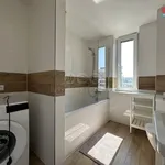 Rent 2 bedroom apartment of 51 m² in Praha