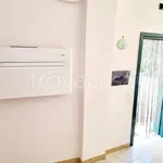 Rent 4 bedroom apartment of 100 m² in Prata di Principato Ultra