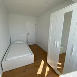 Rent 6 bedroom apartment in Lisbon