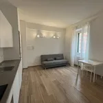 Rent 2 bedroom apartment of 38 m² in milan