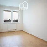 Rent 2 bedroom apartment in Pilsen