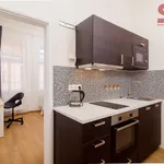 Rent 1 bedroom apartment of 11 m² in Prague