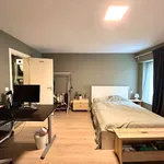 Rent 1 bedroom apartment in Leuven