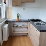 Rent 1 bedroom apartment of 27 m² in Hradec Králové