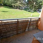 Rent 3 bedroom apartment of 75 m² in Brno