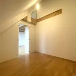 Rent 3 bedroom apartment of 110 m² in Wien