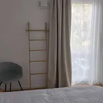 Miete 1 Schlafzimmer wohnung von 45 m² in berlin