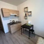 Rent 1 bedroom apartment in Praha 9