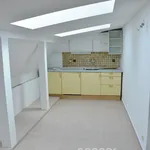 Rent 1 bedroom house of 282 m² in Capital City of Prague