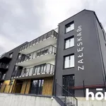 Rent 2 bedroom apartment of 40 m² in Rzeszów