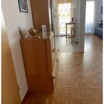 Rent 3 bedroom apartment in Zurich