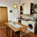 Rent 2 bedroom apartment of 60 m² in Lentini