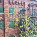 Rent a room in Old Toronto